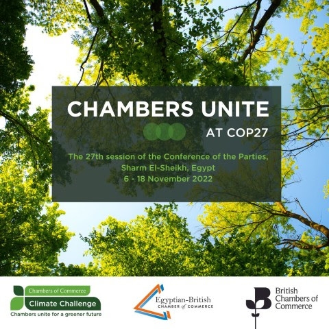 This week at COP27