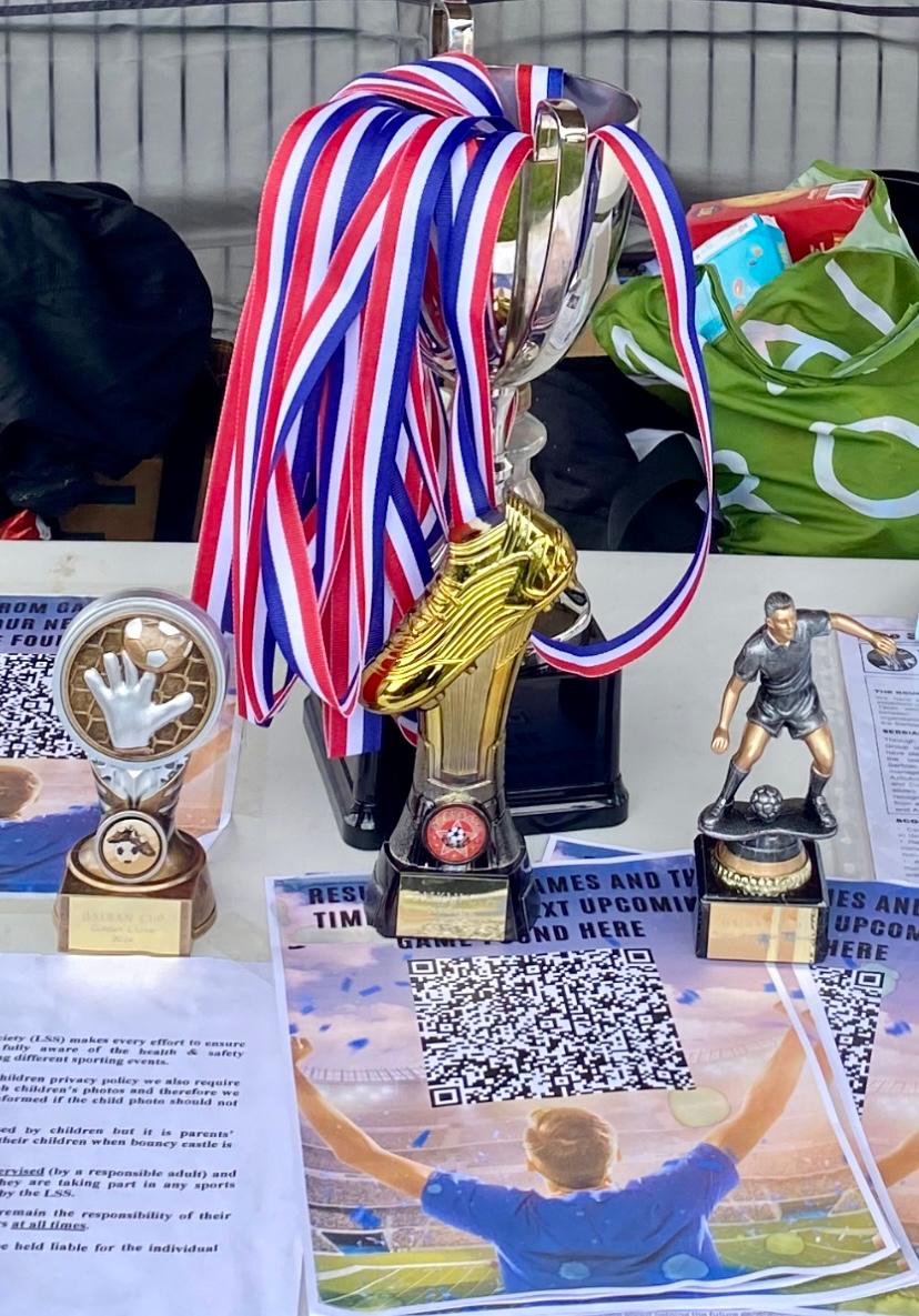 Sports Diaspora Day, Balkan Cup