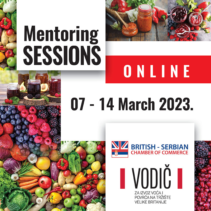 Mentoring sessions